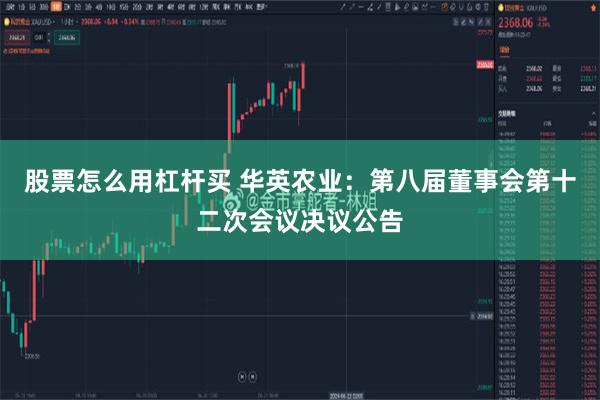 股票怎么用杠杆买 华英农业：第八届董事会第十二次会议决议公告