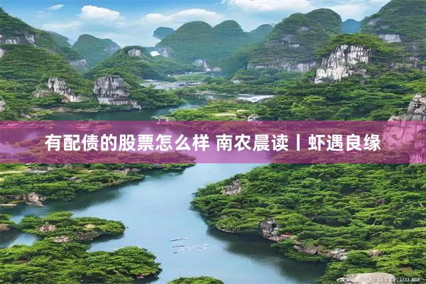 有配债的股票怎么样 南农晨读丨虾遇良缘