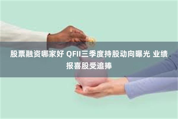股票融资哪家好 QFII三季度持股动向曝光 业绩报喜股受追捧